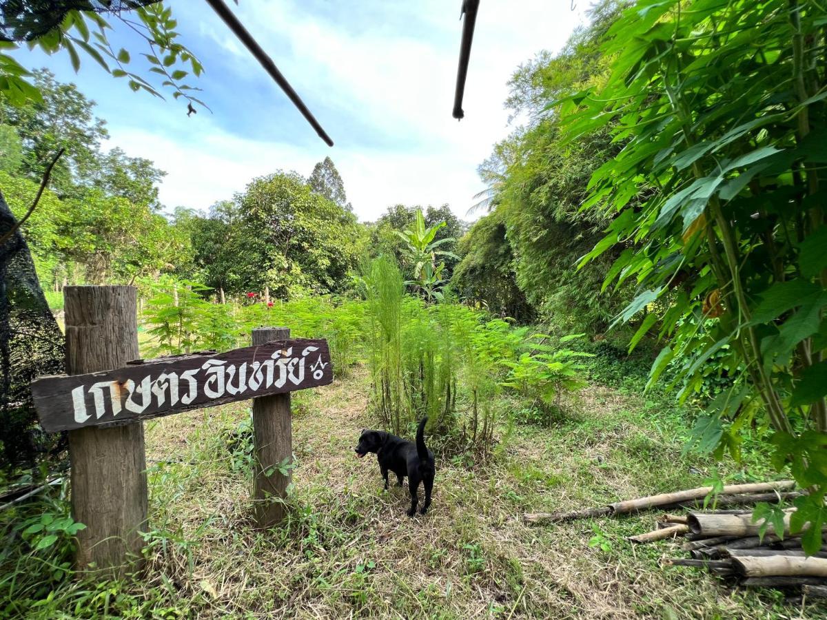 Phow Homestay Ban Mai  外观 照片