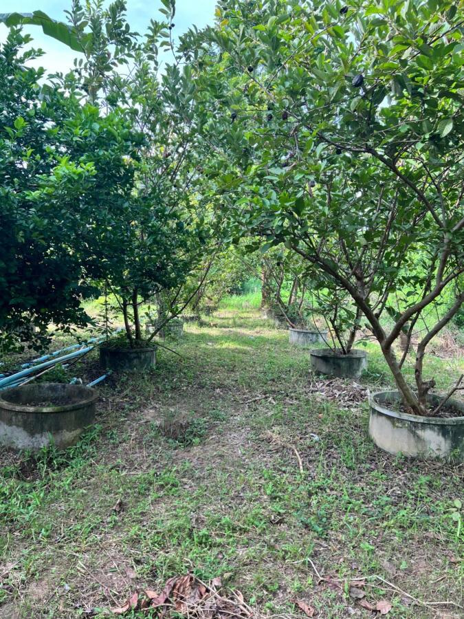 Phow Homestay Ban Mai  外观 照片