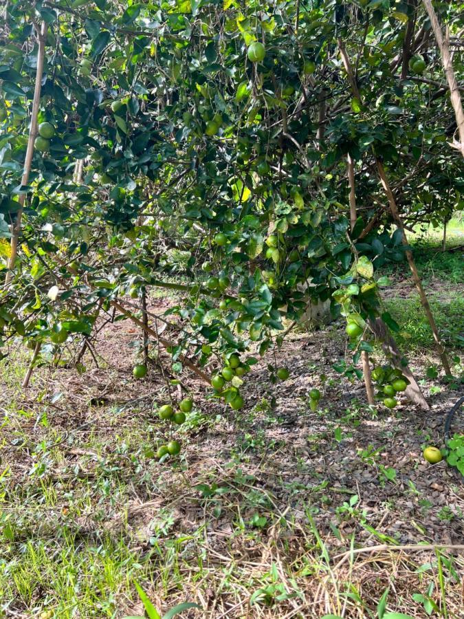 Phow Homestay Ban Mai  外观 照片